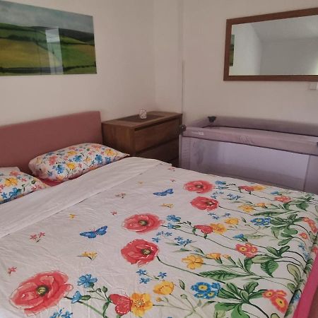 Apartmani Bilic Korenica Bagian luar foto