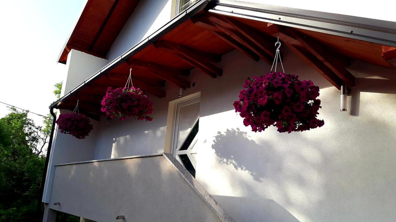 Apartmani Bilic Korenica Bagian luar foto
